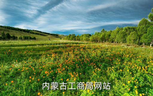内蒙古营业执照网上申报入口在哪，内蒙古工商局网站