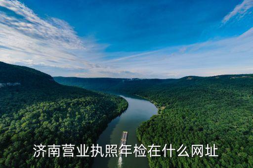 济南营业执照网上年审平台，营业执照年检网上申报