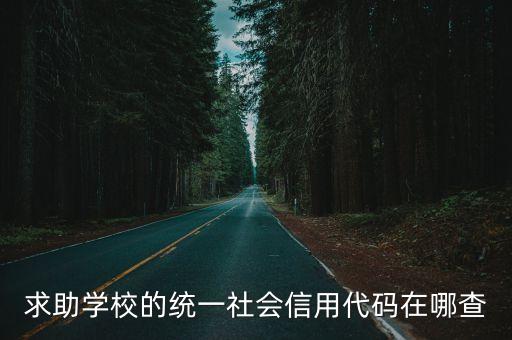 求助学校的统一社会信用代码在哪查