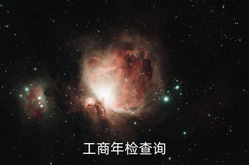 工商年检查询