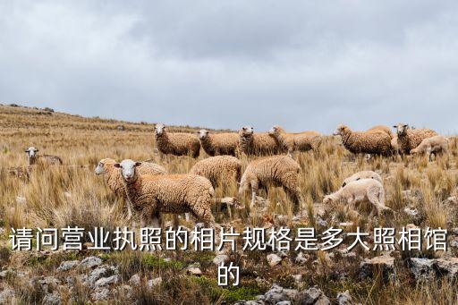 请问营业执照的相片规格是多大照相馆的