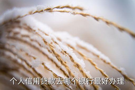 个人信用贷款去哪个银行最好办理