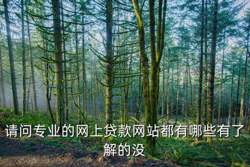 请问专业的网上贷款网站都有哪些有了解的没