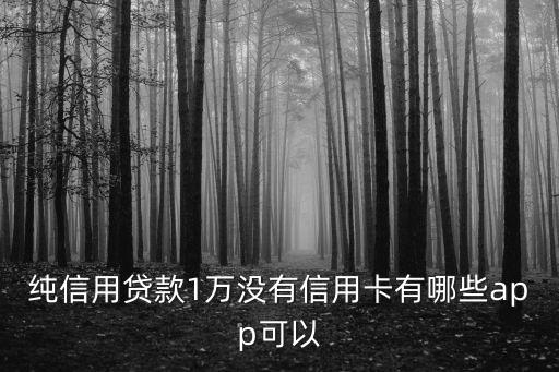 信用低也能借钱的平台，借款信用低可以下的借贷都有哪些