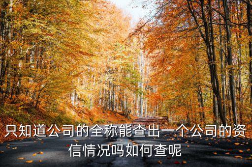 只知道公司的全称能查出一个公司的资信情况吗如何查呢