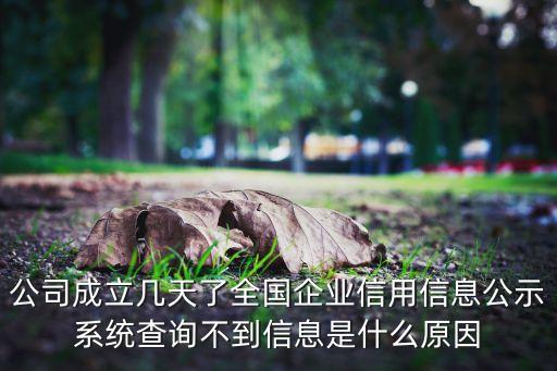 公司成立几天了全国企业信用信息公示系统查询不到信息是什么原因