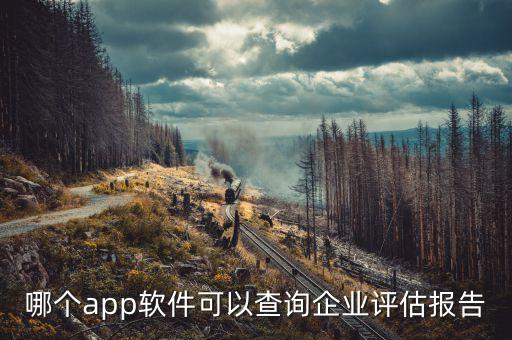 哪个app软件可以查询企业评估报告