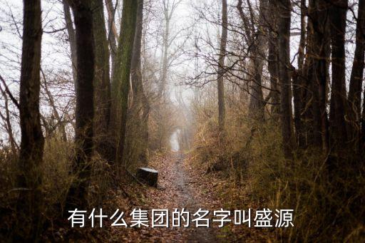有什么集团的名字叫盛源