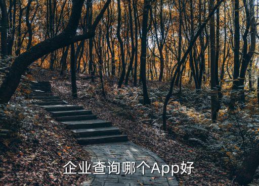 企业查询哪个App好