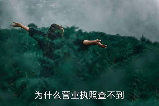 为什么营业执照查不到