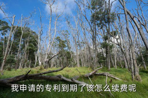 专利续费怎么续，专利续费如何办理自己怎么办理