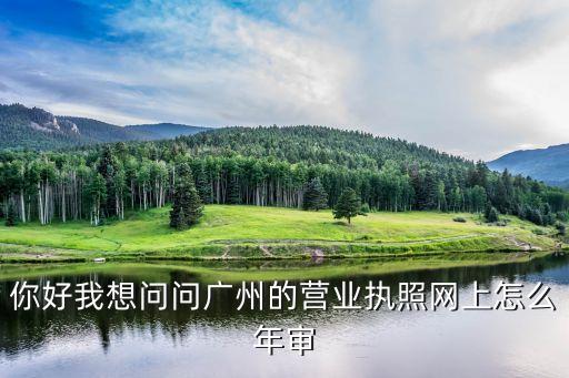 广州个体户年报网上申报流程，广州个体户营业执照年检在网上怎样年审
