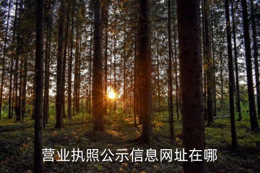 工商营业执照公示网址查询，营业执照公示信息网址在哪