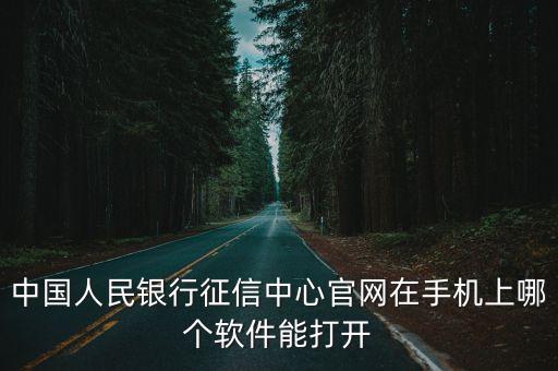 中国人民银行征信中心官网在手机上哪个软件能打开