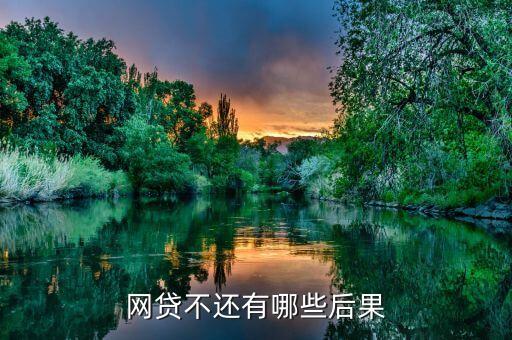 网贷不还有哪些后果