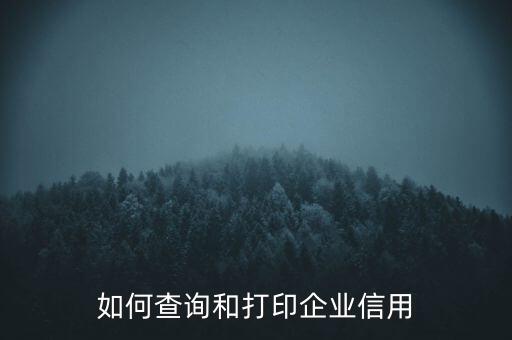 如何查询和打印企业信用