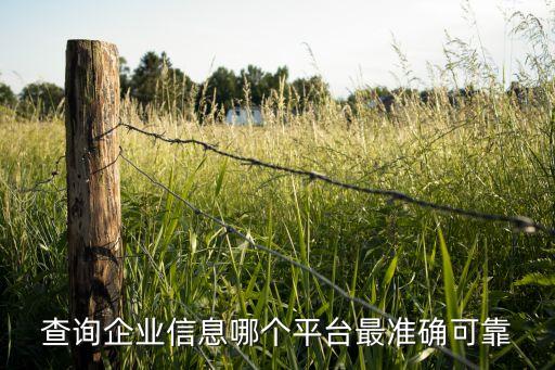 查询企业信息哪个平台最准确可靠
