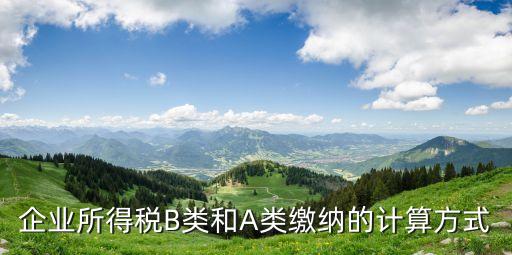 企业所得税B类和A类缴纳的计算方式
