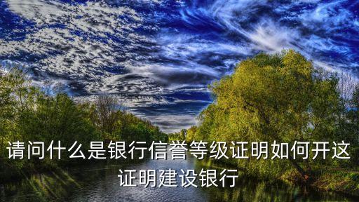 企业银行信用等级证明是什么，什么叫信用证明
