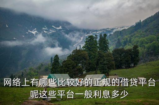 网上正规的借钱，正规网上贷款平台