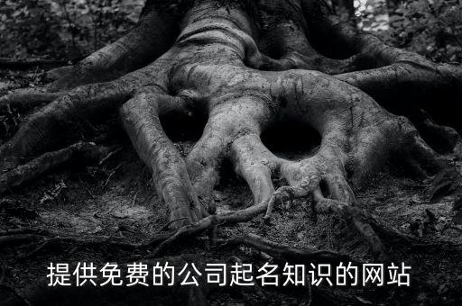 提供免费的公司起名知识的网站