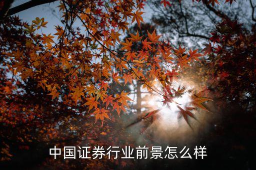 中证信用前景怎么样，中国证券行业发展前景怎样