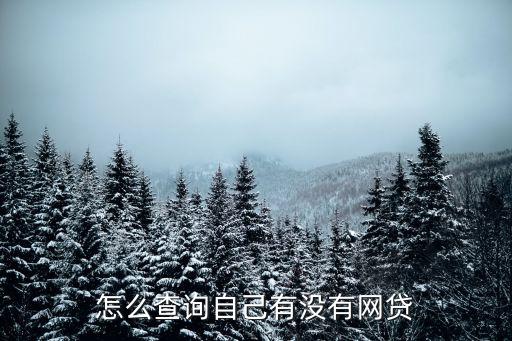 怎么查询自己有没有网贷