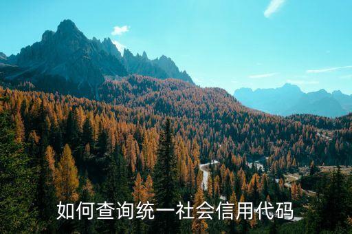 如何查询统一社会信用代码