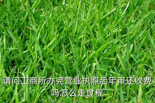 工商营业执照年检免费嘛，工商执照年检要钱吗