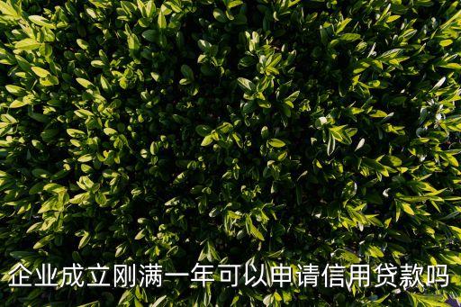 一年以上的公司能贷款，企业成立刚满一年可以申请信用贷款吗