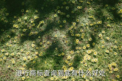进行商标查询到底有什么好处