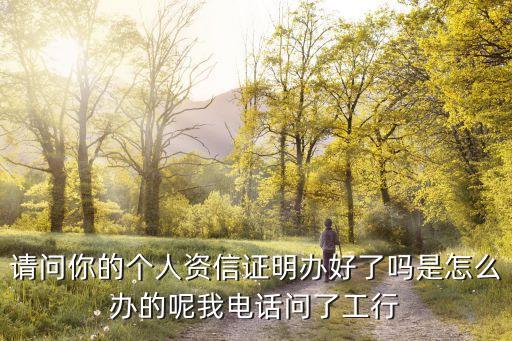 请问你的个人资信证明办好了吗是怎么办的呢我电话问了工行
