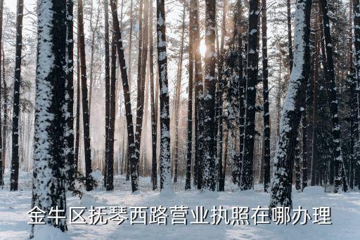 金牛区办营业执照在哪里办，金牛区在哪里办营业执照