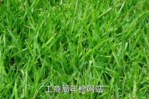 全国工商营业执照年检入口官网，工商年检网址