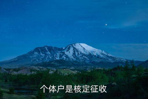 上海个体工商户核定征收，请问我是个体户个体户定额核定的收入是否是扣除陈本费用之后的