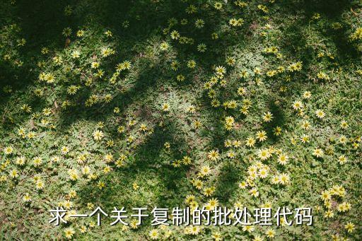求一个关于复制的批处理代码