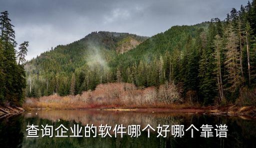 查询企业的软件哪个好哪个靠谱
