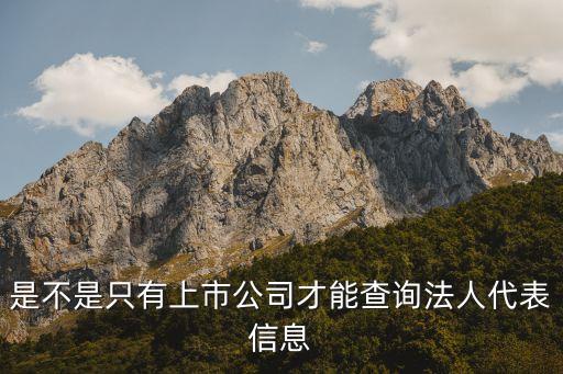 是不是只有上市公司才能查询法人代表信息