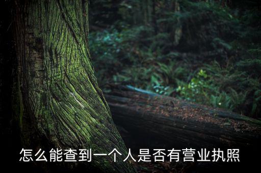 怎么能查到一个人是否有营业执照