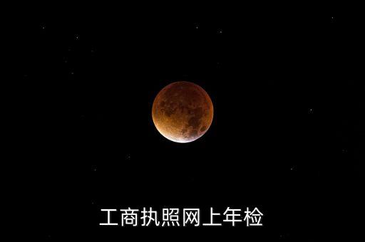 工商执照网上年检