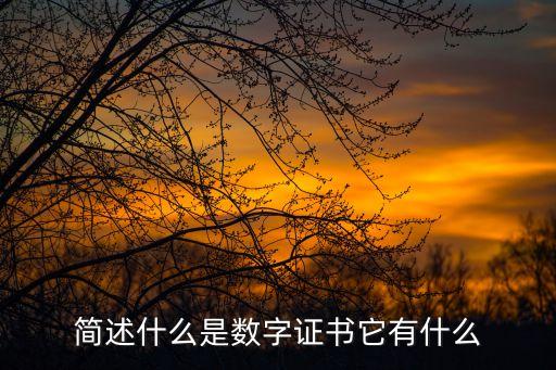 简述什么是数字证书它有什么