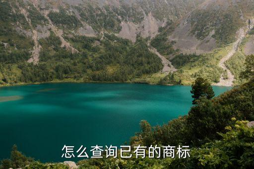 怎么查询已有的商标