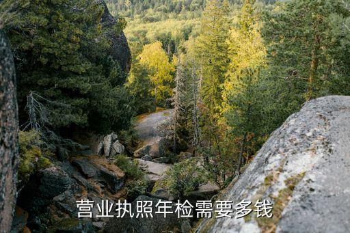 营业执照年检需要多钱