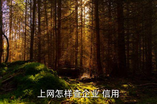 上网怎样查企业 信用