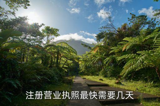 注册营业执照最快需要几天