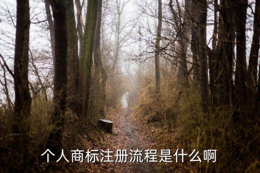 个人商标注册流程是什么啊