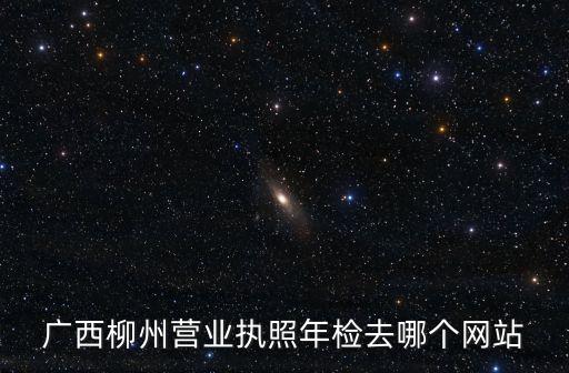 广西柳州营业执照年检去哪个网站