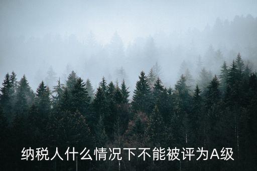 纳税人什么情况下不能被评为A级