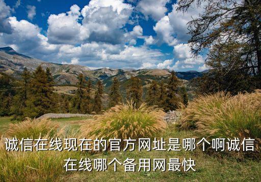 诚信在线现在的官方网址是哪个啊诚信在线哪个备用网最快