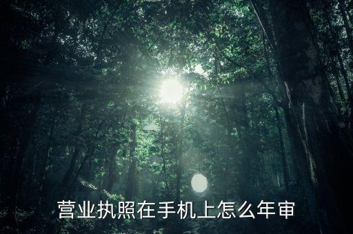 电子营业执照怎么年报，电子营业执照怎么年报